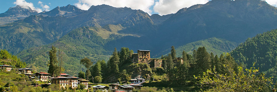 Bhutan Visa Assistance Services - Hassle-Free Travel with AV Holiday World
